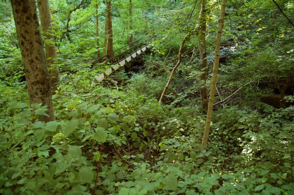 The Glen swallows up a bridge running through it (photo by Aaron Zaremsky)