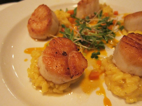 scallops