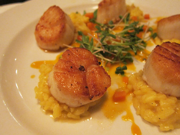 scallops
