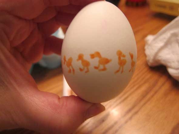 chicks On Parade