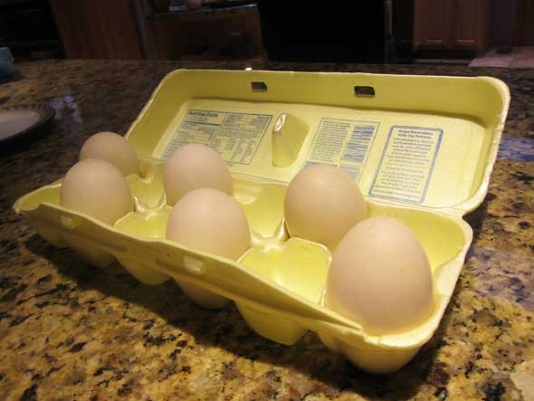 duck Eggs For Challah