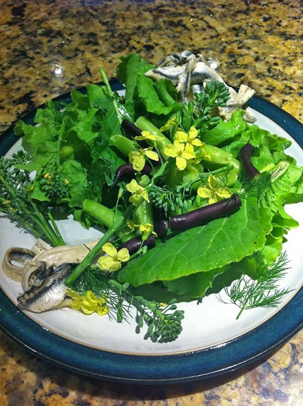 garden green salad