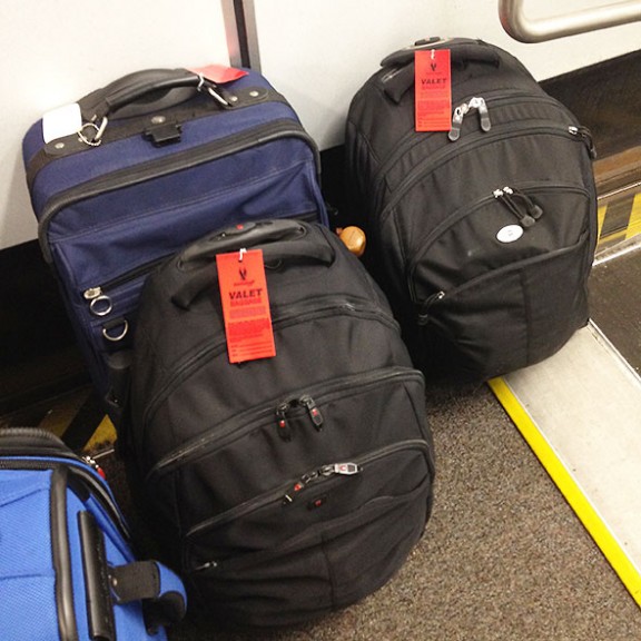 matchingRollerBags