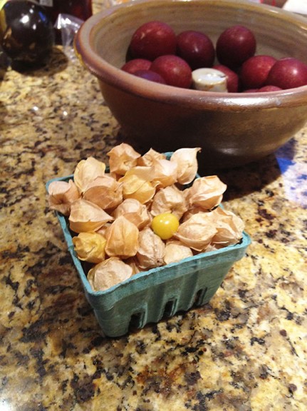 pint of ground cherries