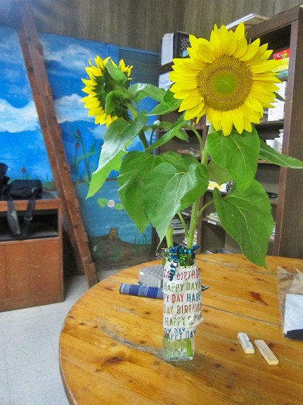 sunflower Against Mural