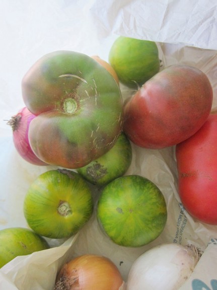 tomatoes and onions from Flying Mouse Farms
