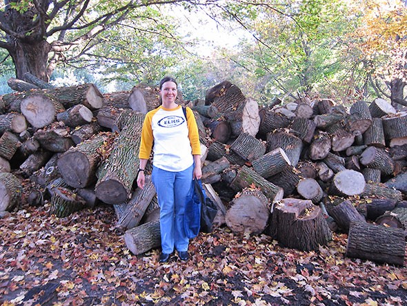 big woodpile