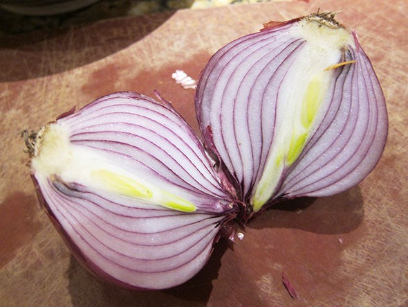 halved onion
