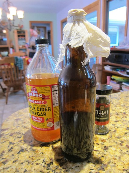 mother vinegar and child