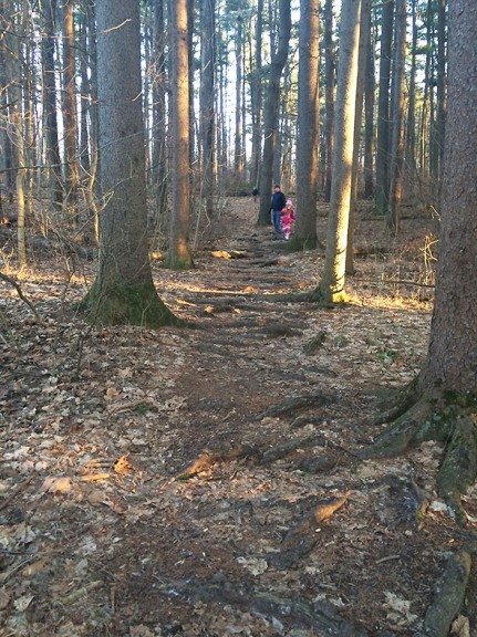 a natural stair