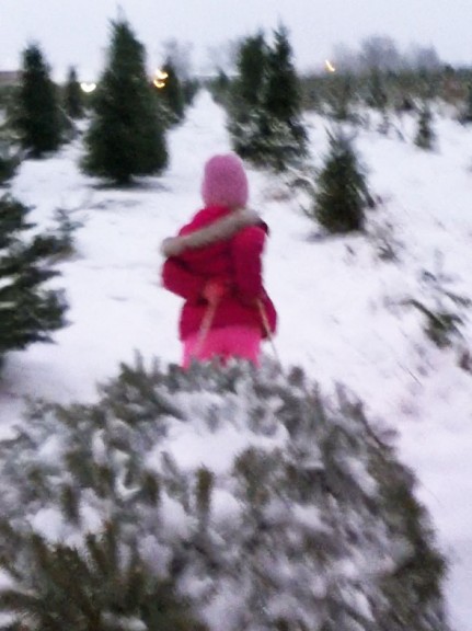 triumphant tree hunter