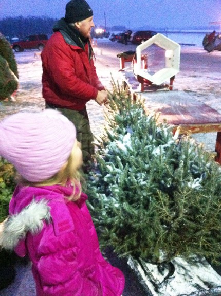 Young's Christmas trees