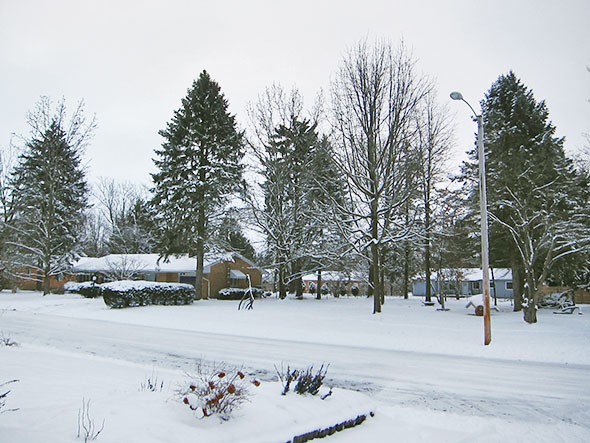 snowy day