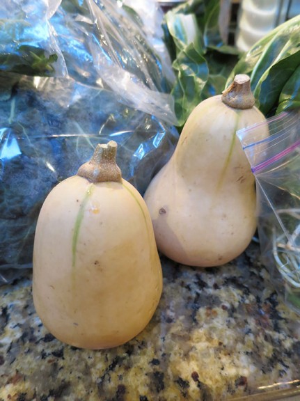 butternut squash