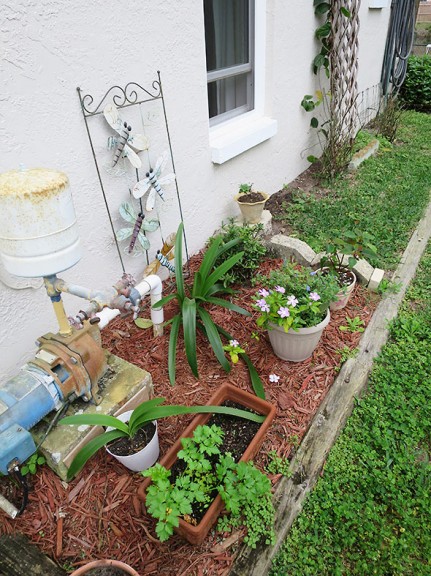 side garden