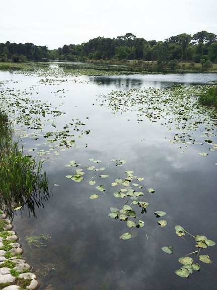 Walsingham Park