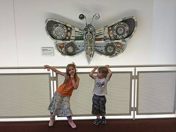 COSI butterfly