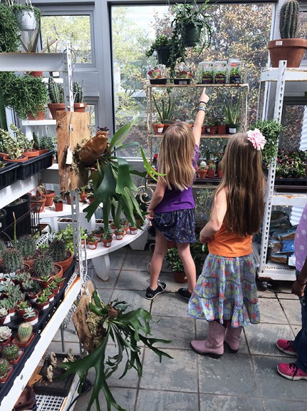 among the cacti