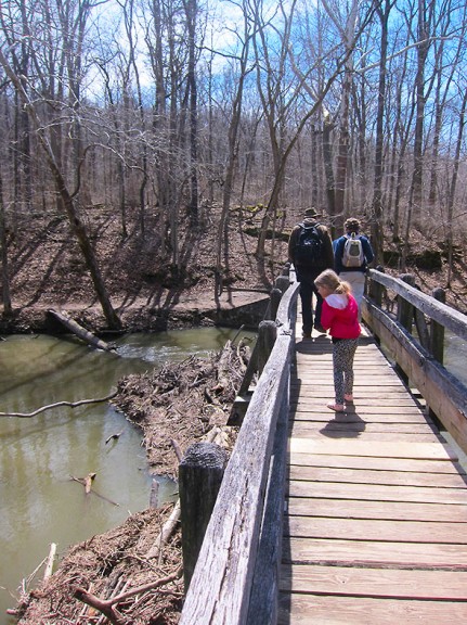 bridge near campground