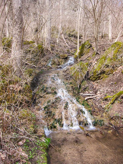 feeding creek