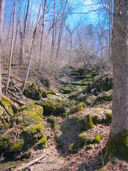 natural moss covered steps