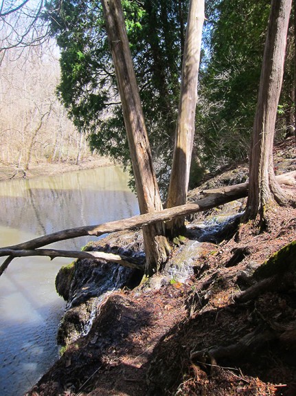 ridge Waterfall