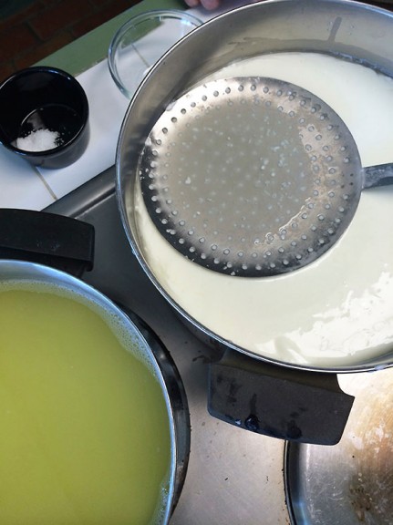 mozzarella setting