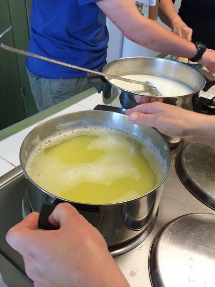 separated curds