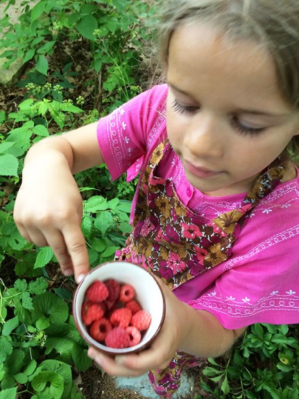 cup of raspberries