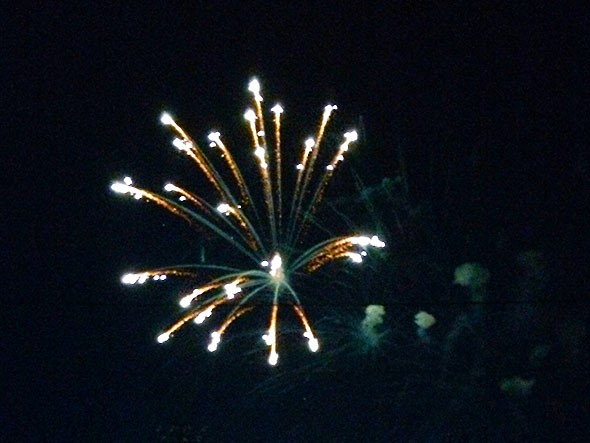 opening salvo