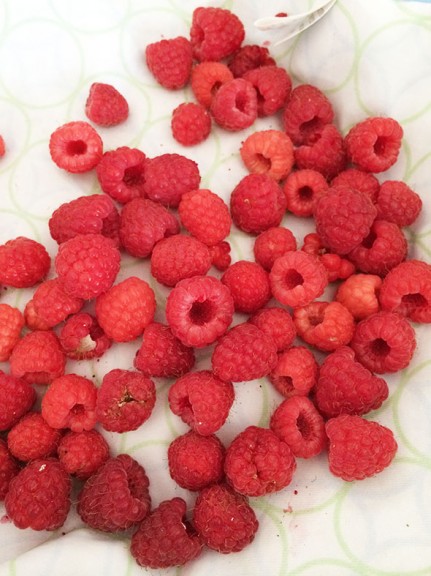 raspberries