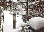 010625_Blizzard01