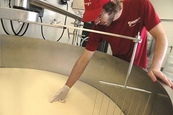 Nick Mronzinski stirred curds at Young’s Jersey Dairy in a cheese vat that has been used to turn the farm’s fresh milk into local cheese for the last 18 months. The yellow cheddar cheese made on a recent visit will be used to top burgers and salads at Young’s restaurants. 