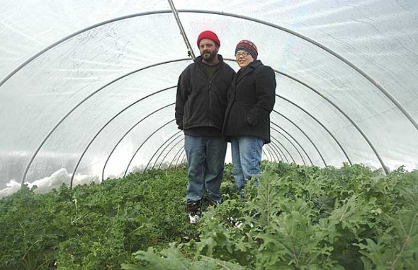 John DeWine and Michele Burns stood amongst the prolific kale of the wood-heated greenhouse at their Yellow Springs-Fairfield Road farmstead, Flying Mouse Farms. Their farm is the only source of local greens for direct purchase in the winter. 