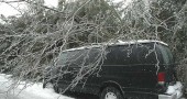 Not going anywhere soon: Last Wednesday morning a van on W. Davis Street seemed to shrink under the weight of the ice-covered tree that had toppled over during the ice storm the night before. Hundreds of limbs and branches fell during the storm, causing power outages all over the village. (photo by Lauren Heaton)