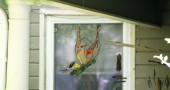 A rainbow butterfly made of scrap colored glass hanging from a porch on Limestone St. (photos by Suzanne Ehalt)