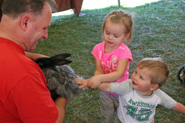 Avery Young, 3, helps her little brother Griffin, 1, pet the rabbit at the Wool Gathering this weekend. (photos by Suzanne Ehalt)