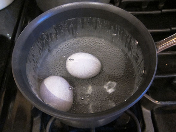 Boiling Eggs