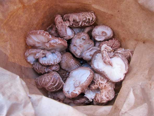 mushrooms bagged