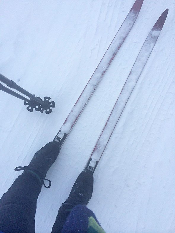 cross country skis