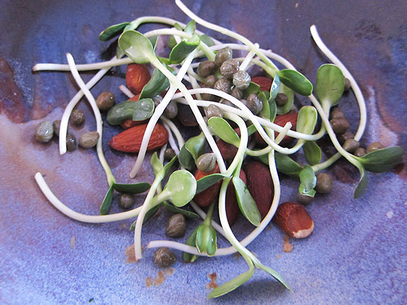 sprouts, almonds, capers
