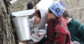 Shown above are Caleb and Teresa Adkins of Springfield, checking out one of the many maple sap collection buckets at Flying Mouse Farms annual open house. (Photo by Suzanne Szempruch)