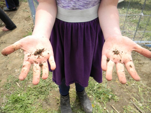 Dirt don't hurt: Antioch School students get into the spring of things in the garden. The school was able to expand its garden, thanks to student fundraising and grants from the Whole Kids Foundation and Whole Foods of Mason. (Photo by Lauren Shows)