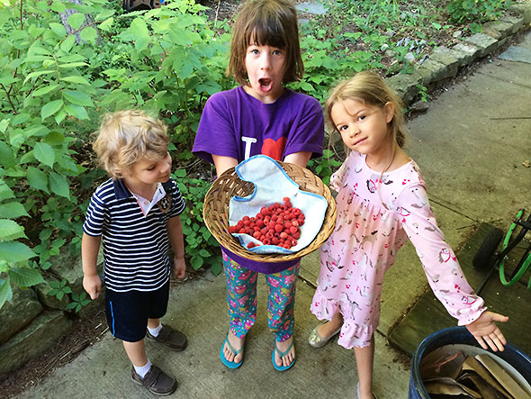 berry pickers