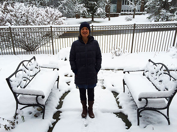 snow covered garden with benches