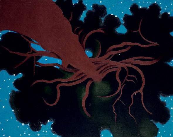 You can hang it any which way, but she preferred it this direction. Georgia O'Keeffe, "The Lawrence Tree," 1929. Collection of Wadsworth Atheneum Museum of Art.