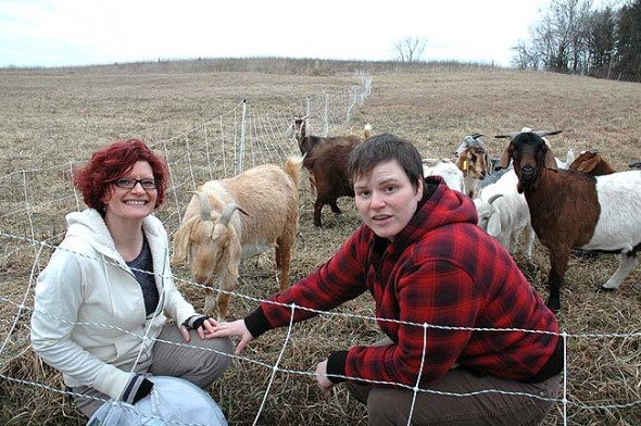 Villagers Theresa Nolan, left, and Mandy Knaul moved to Yellow Springs in part to live closer to the land. Here, they fulfill their wish on Smaller Footprint Farm, Doug Christen’s CSA just outside the village where Knaul farms, grows flowers and looks after the Nubian goats (including Butterscotch, center). Nolan keeps bees on the property. The couple lives in the village. (Photo by Audrey Hackett)