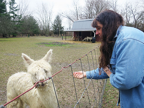 alpacaFarm