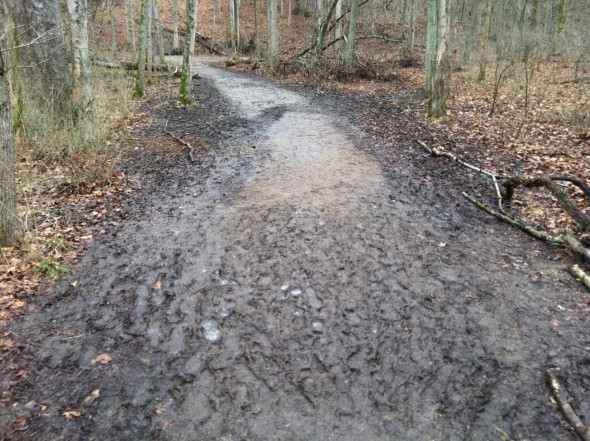 This stretch of trail has tripled in width due to hikers on muddy days. (Photo courtesy of Glen Helen)