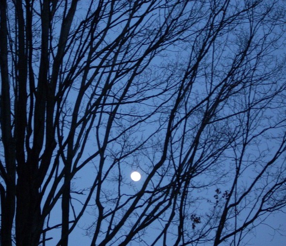 The full moon is a lonesome traveler. (Photo by Audrey Hackett)